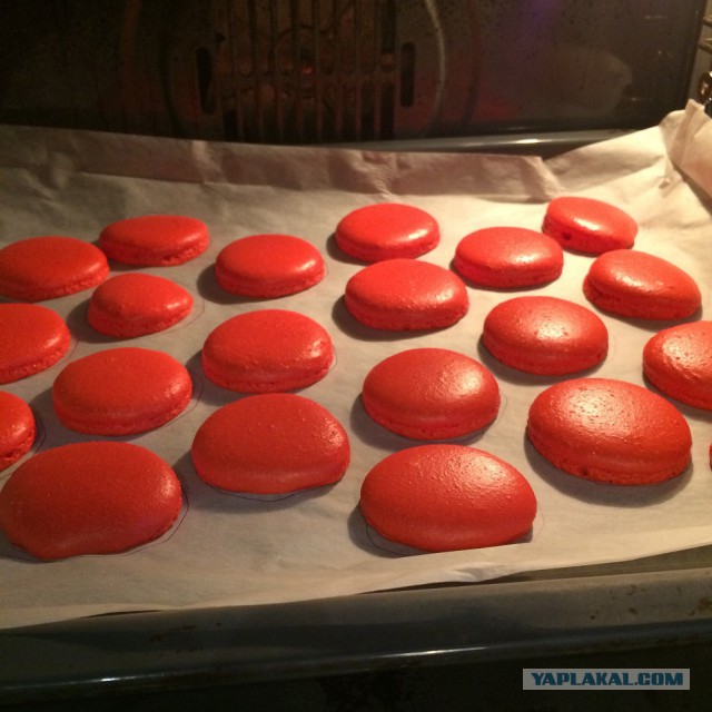 The Macarons