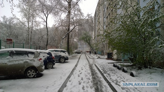 А за окошком месяц май...