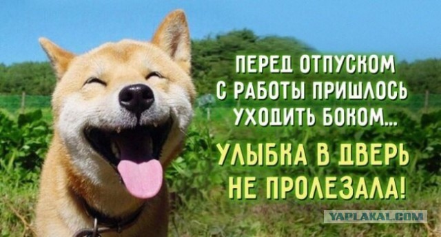 Весёлости в картинках