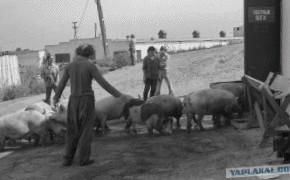 Владимир Воробьев - непарадный СССР