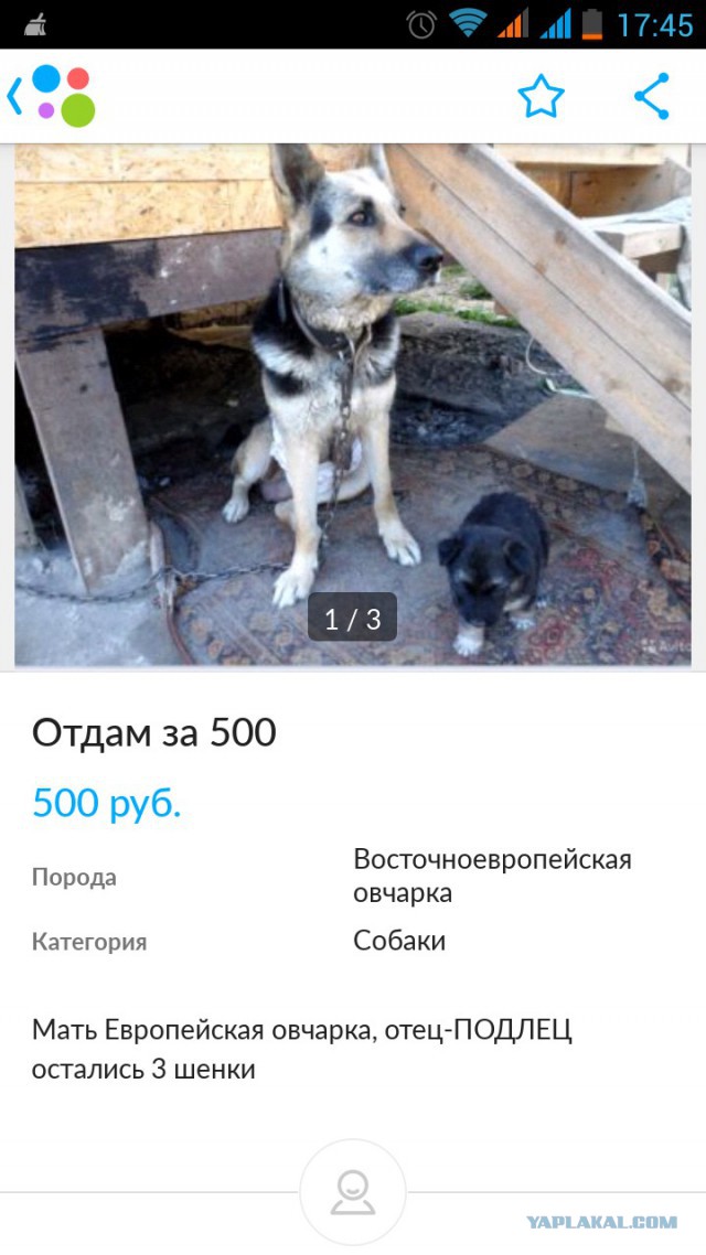 Объявления и разные ляпы