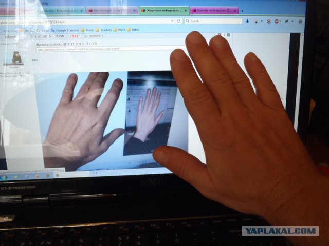 Общество любительниц мужских рук