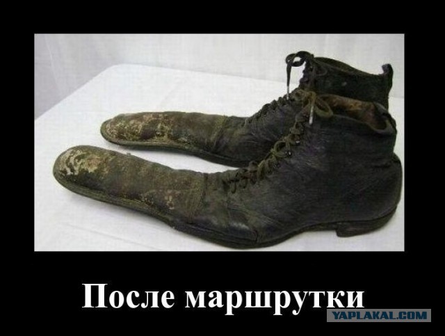 Картинки и демотиваторы