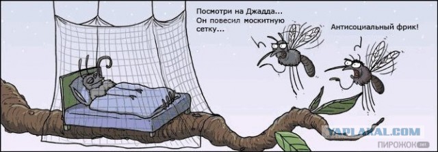 Злые шутки или минутка сарказма на ЯП-е, 16+