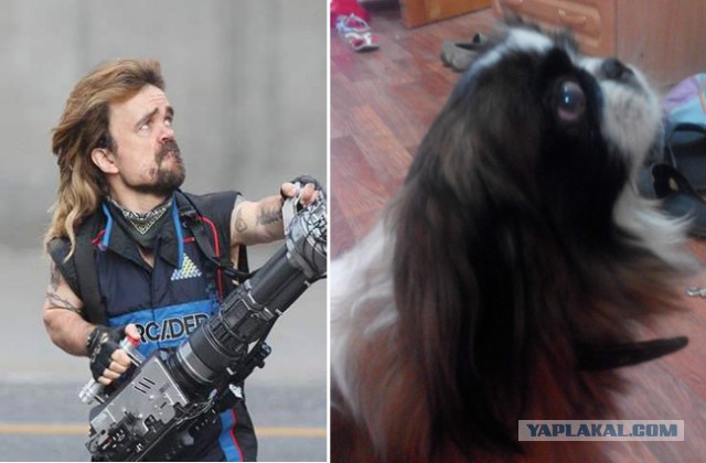 Двойники есть у всех