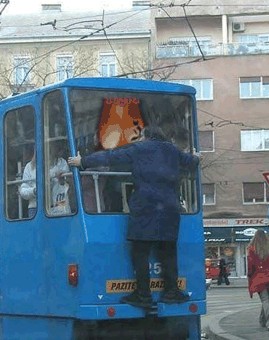 Фотожаба: Заяц на трамвае