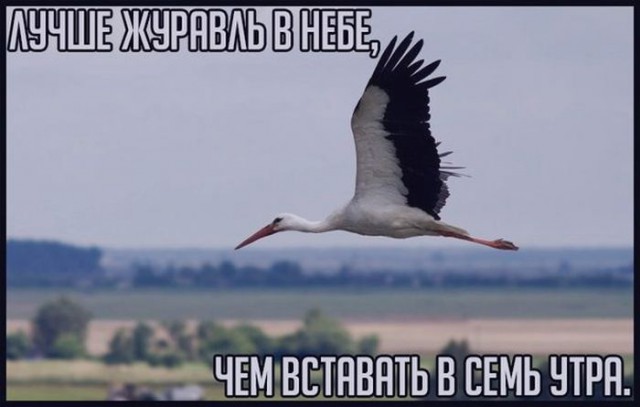 Юмор не для всех