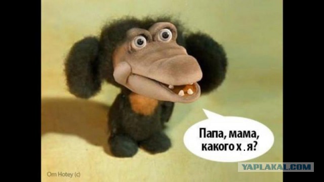 Женщины такие женщины
