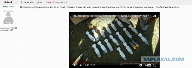 Обезьяны (запрещенная в России ISIS) тоже умеют в высокие технологии