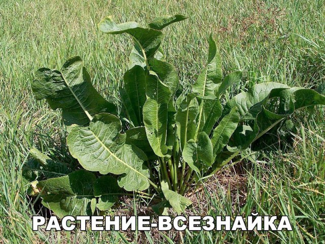 Смешные и не очень картинки из этих ваших интернетов