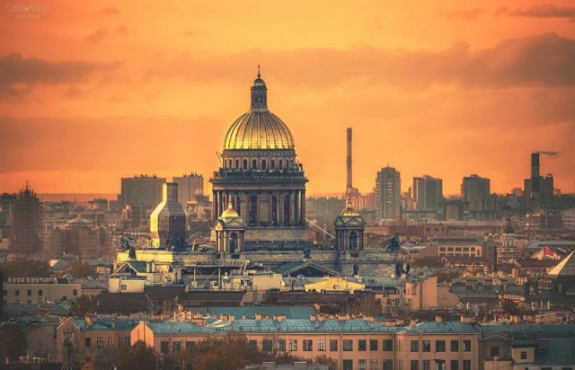 Как обустроить болото