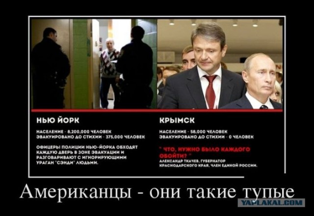 Американцы тупые. Миф или реальность?