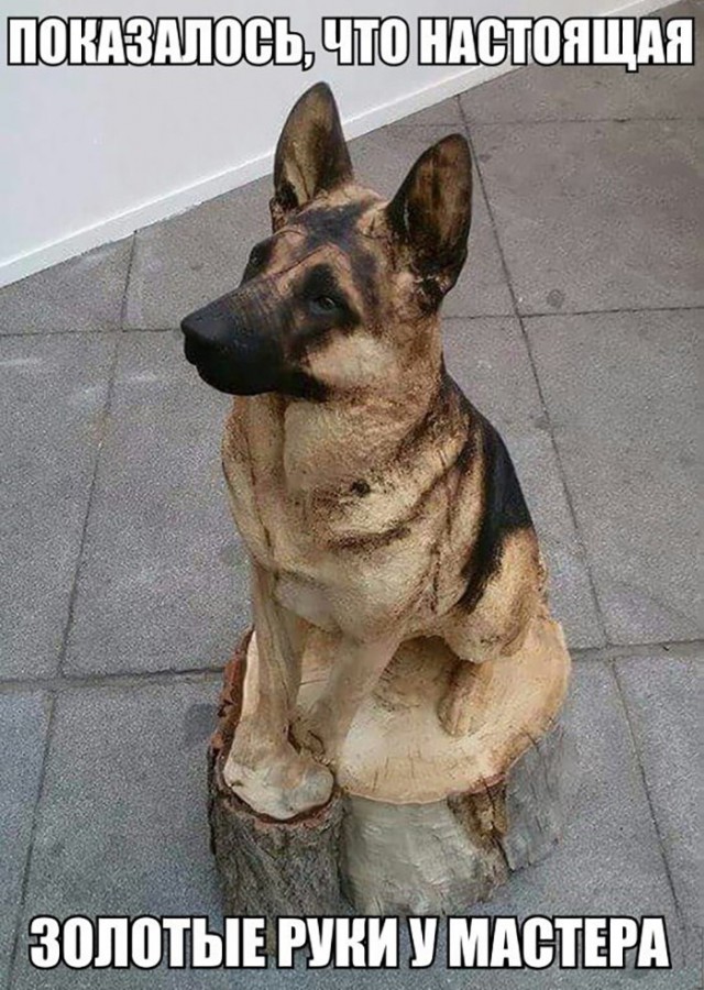 Нестандартный юмор