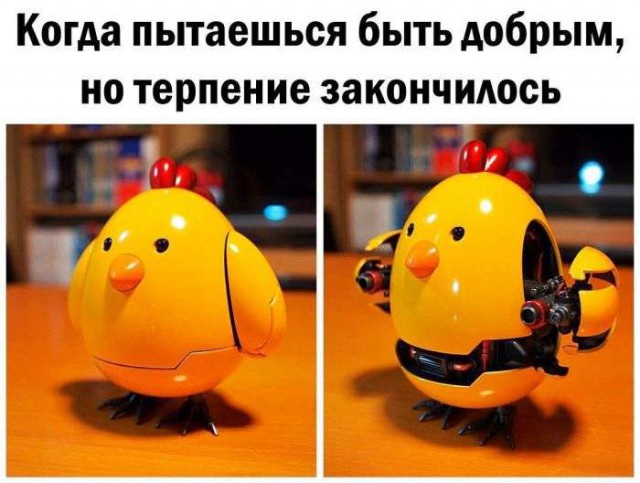 Подборка интересных и веселых картинок