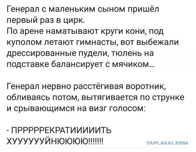 Смешные комментарии из социальных сетей 01.06.2018