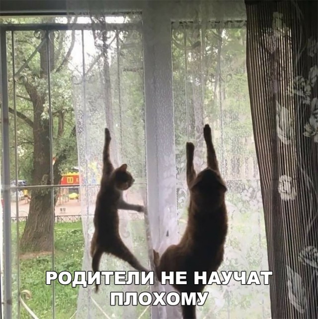 Немного милоты
