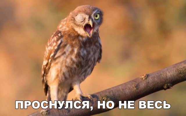 Нестандартный юмор