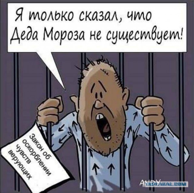 Совет по правам человека предложит отменить уголовную ответственность за оскорбление чувств верующих