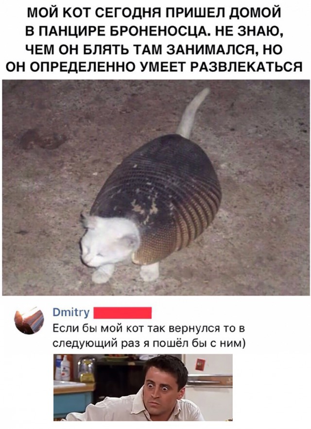 Немного картинок на вечер