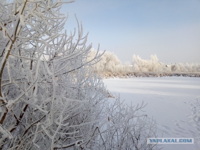 Новогодняя погода. У кого как, у нас вот