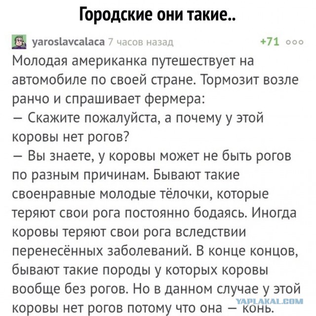 50 квадратных метров жести