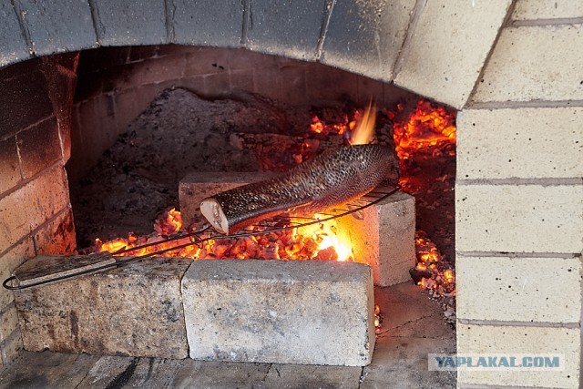 Стейк из хвостика на гриле (Пародия на пародию Пародии Апельсинии)