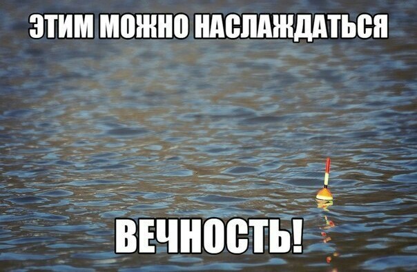 Ох, уж эта рыбалка
