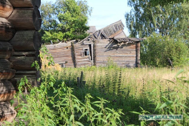 Заброшенные деревни Костромской области. Совега