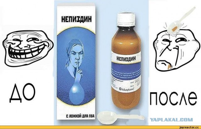 Помогите вернуть кота! Приют "Преданное сердце" украл кота и не отдает!-2