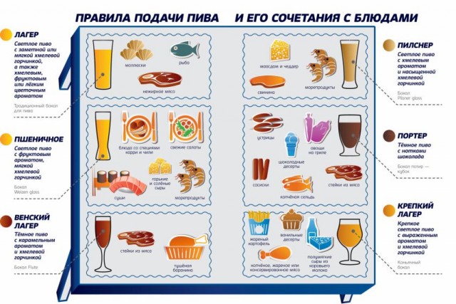Журнал алкоронавт