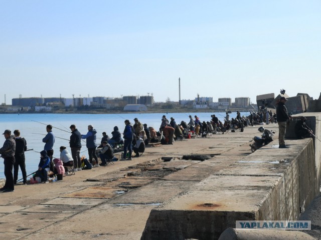Пандемия. Коронавирус. Россия и мир. Последняя информация. Часть 12