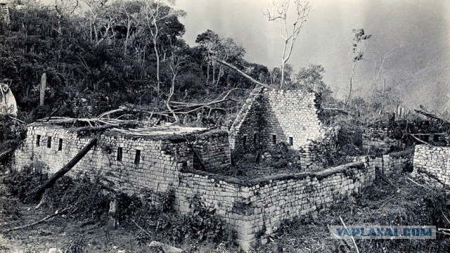 Первый снимок Мачу-Пикчу, еще заросшего джунглями