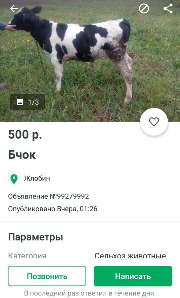 Малыши-беляши