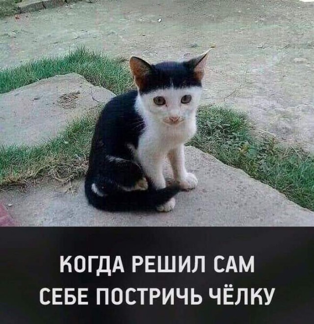Картинки ни о чем на ночь глядя