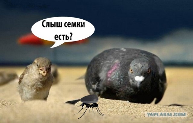 Диалог