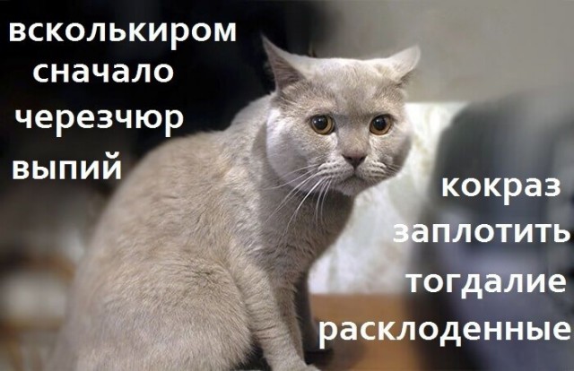 Отупение зашкаливает