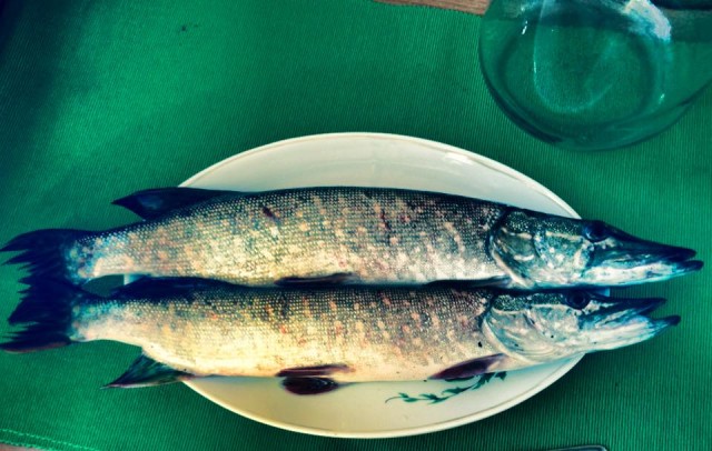 Рыбацкое счастье