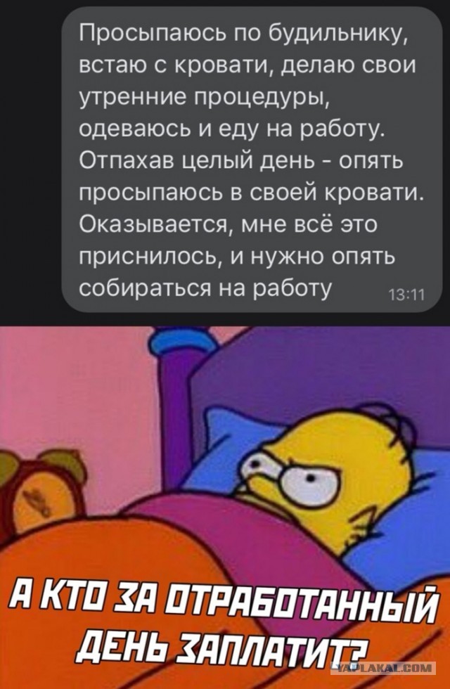 Фотки и картинки: юморные и красивые, забавные и милые 13.11.20