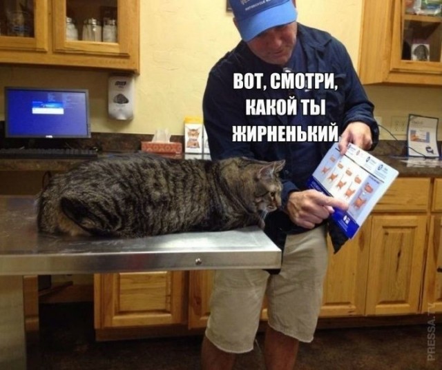 Картинки и мемы для настроения 023