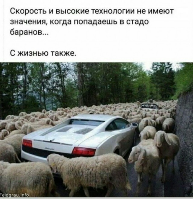 Будущие госслужащие о народе России