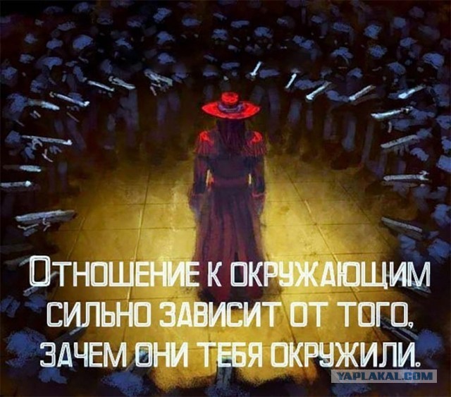 Свинегрет: картинки, надписи и прочее на 20.02.21 или №30