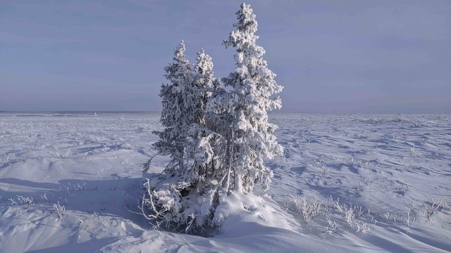 Заполярье из кабины грузовика
