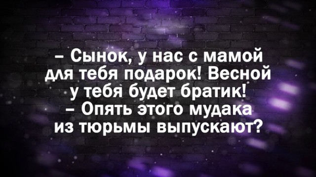 Весёлый полтишок 7.04