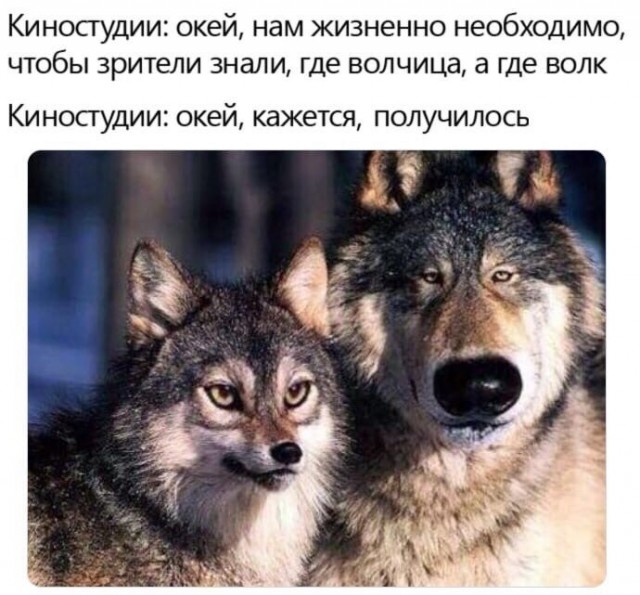 Так себе картинки 07.06.21
