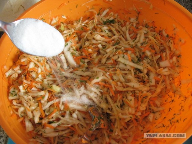 Капуста International, Наступила осень, отцвела капуста...