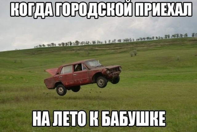 Картинки и мемы для настроения 29.06.2021