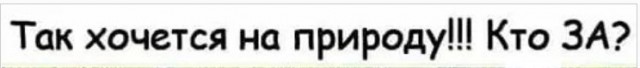 Картинки и мемы для настроения 13.10.2021