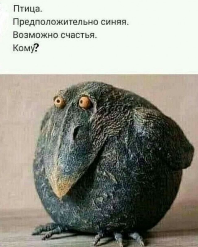 Так себе картинки 15.11.21