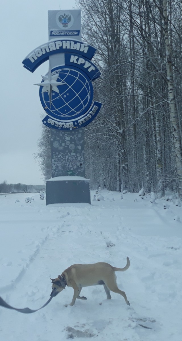 Четверг. Моя собакен