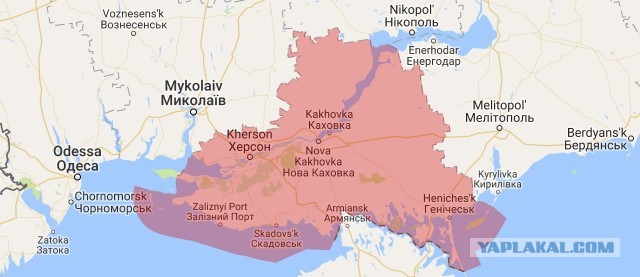 Российские военные взяли под контроль всю Херсонскую область